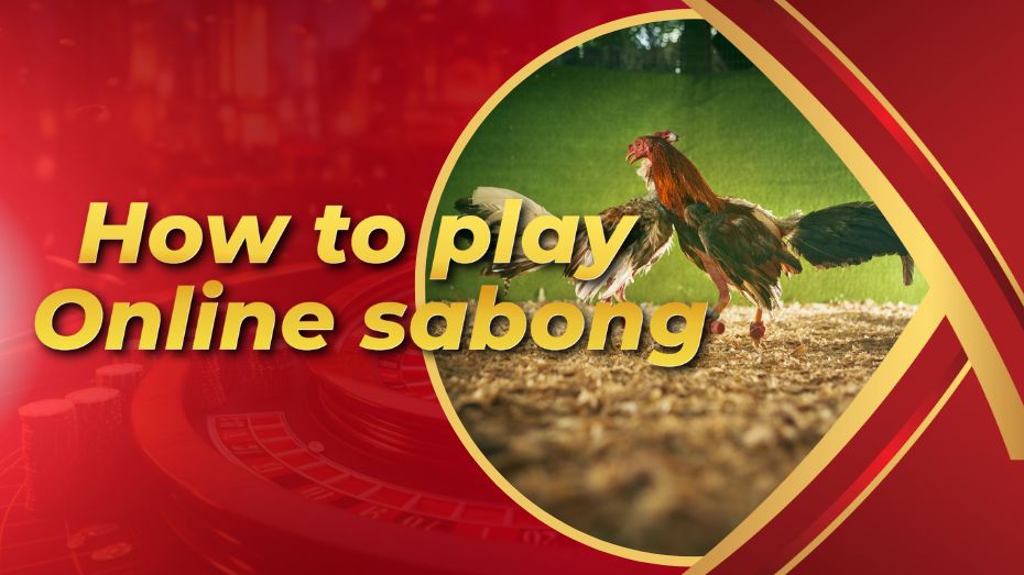 How To Play Online Sabong | Comprehensive Guide